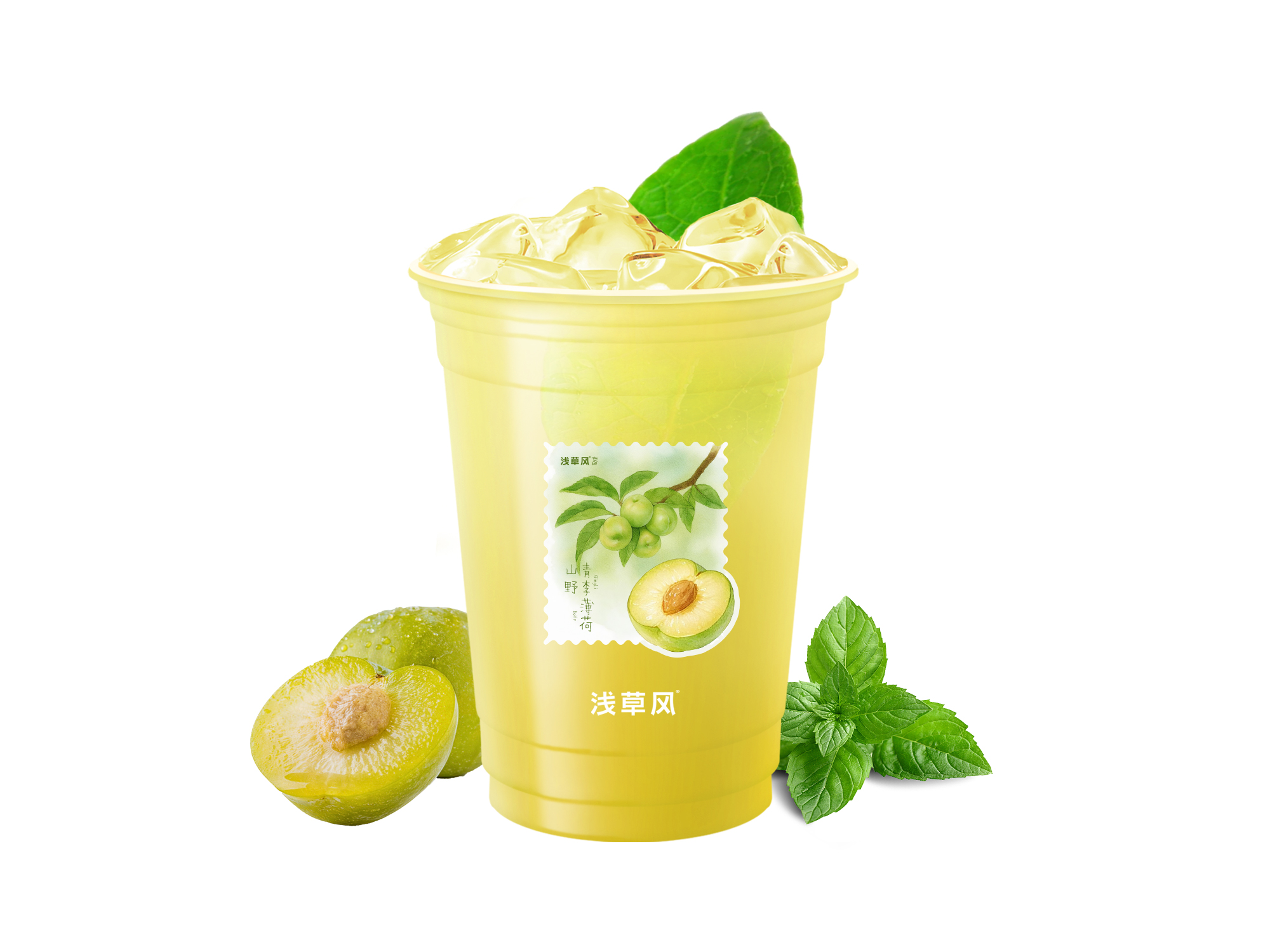 山野青李薄荷
