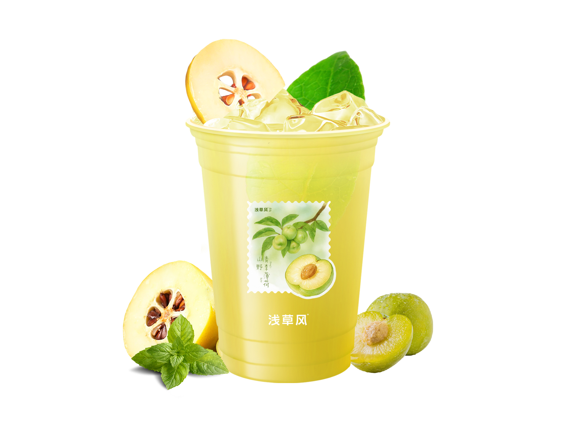 青李薄荷酸木瓜