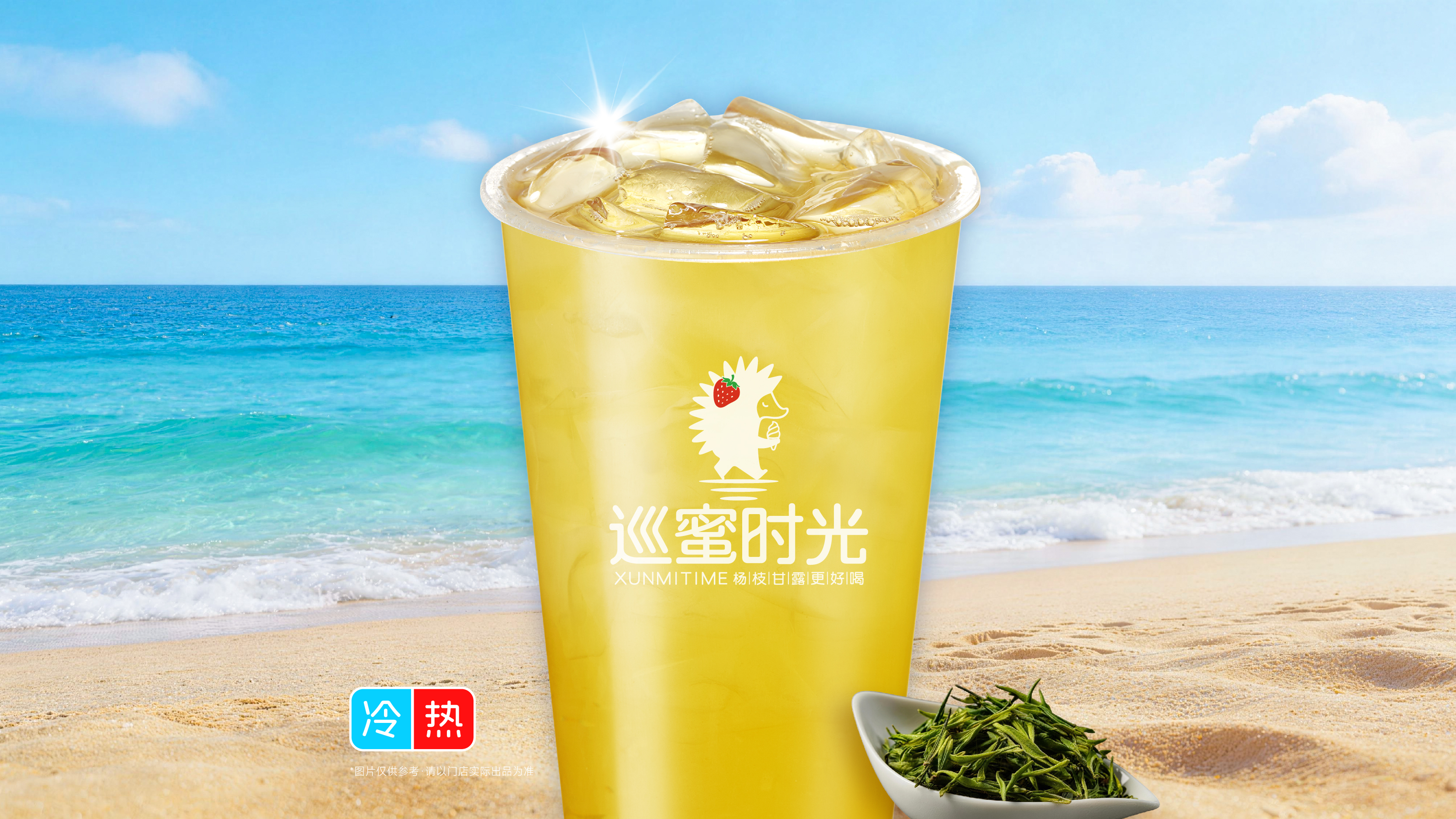 龙井知春纯茶