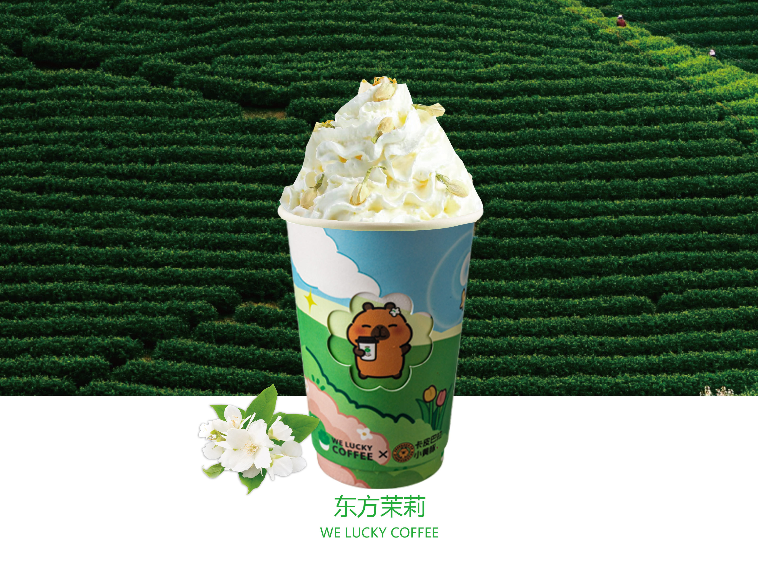 东方茉莉