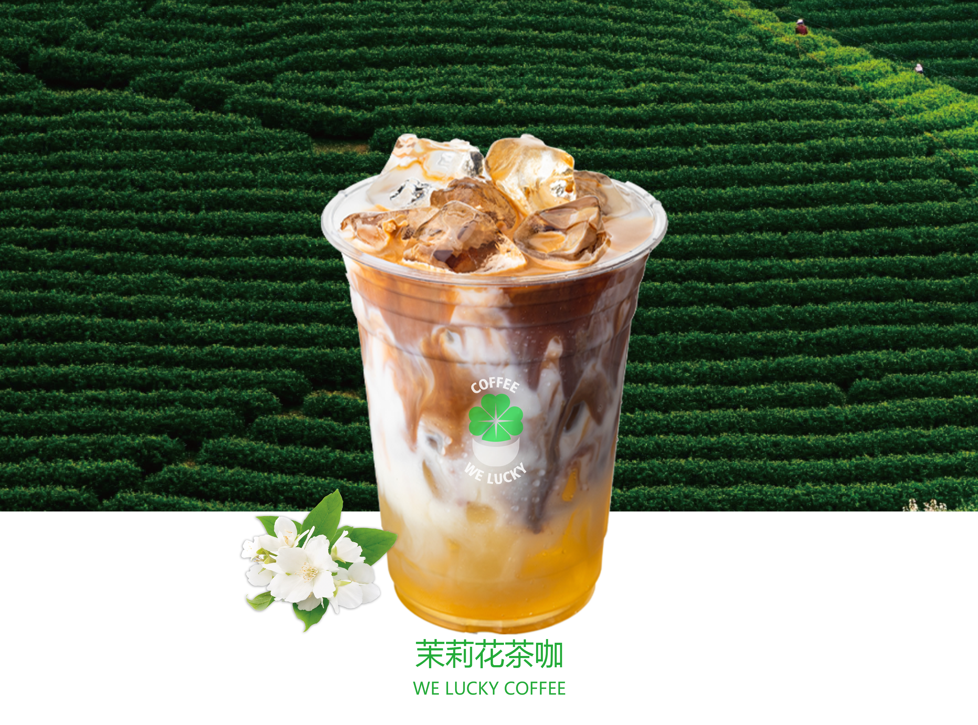 茉莉茶咖