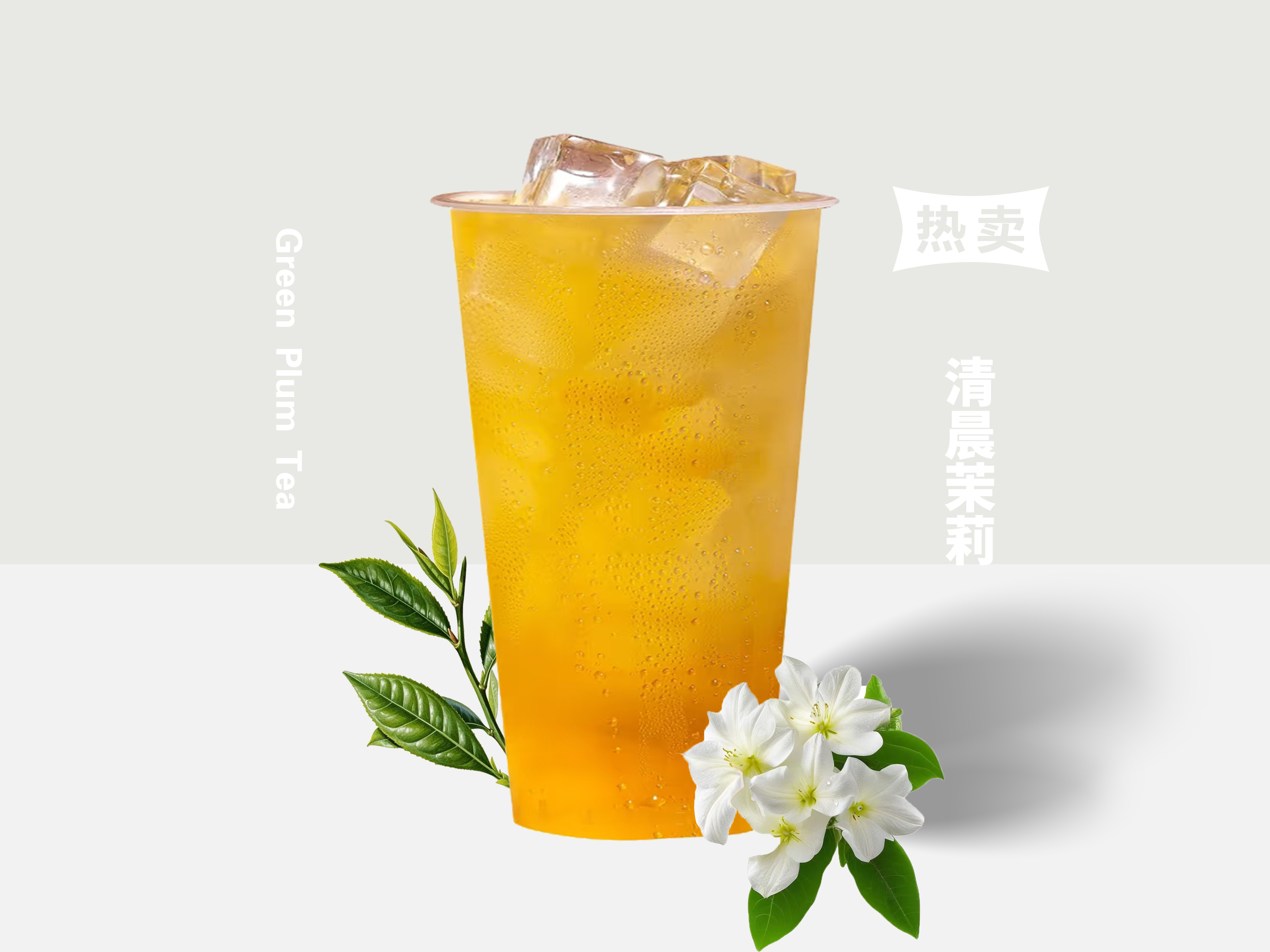 清晨茉莉