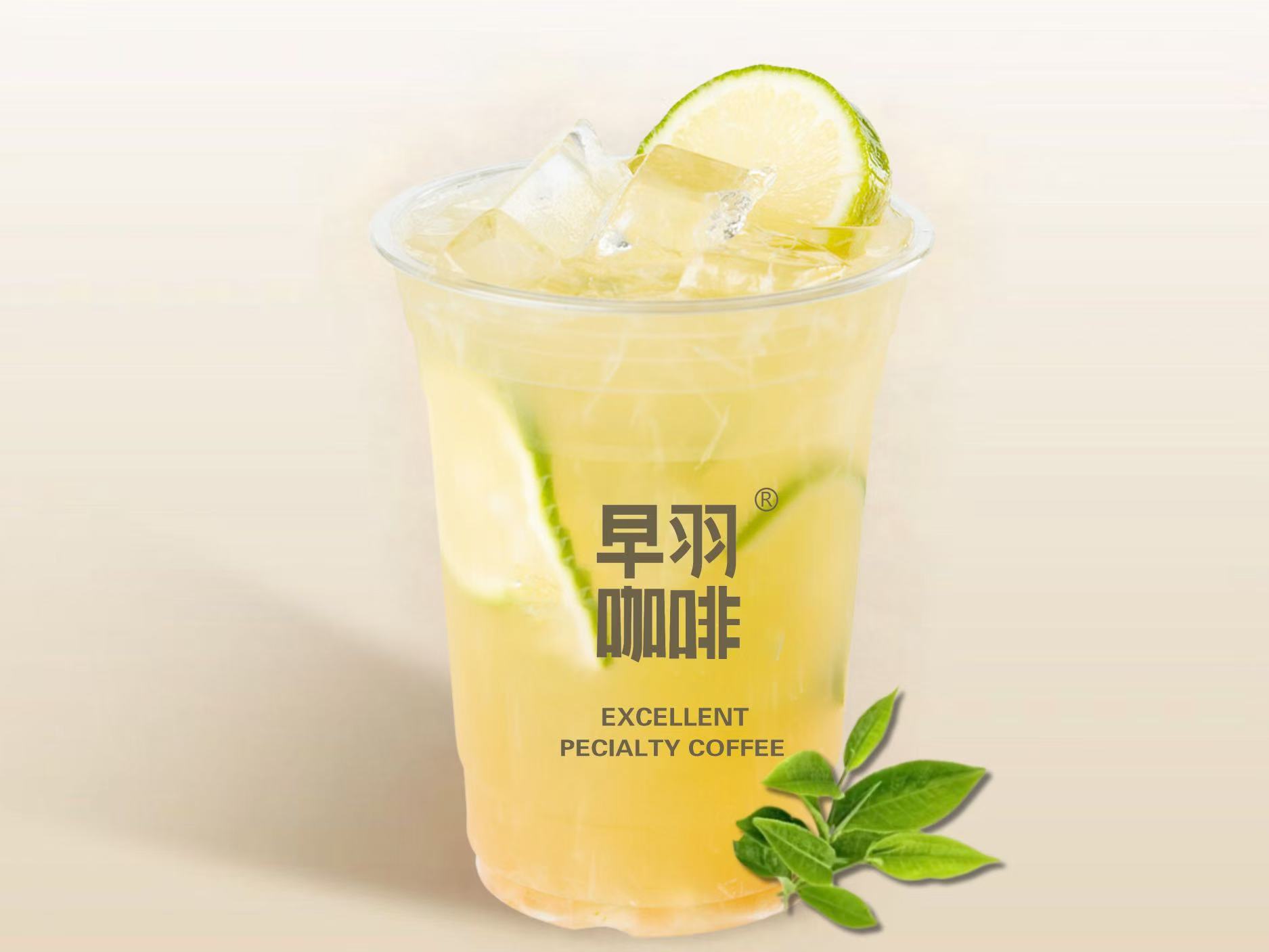 冷萃柠檬绿茶