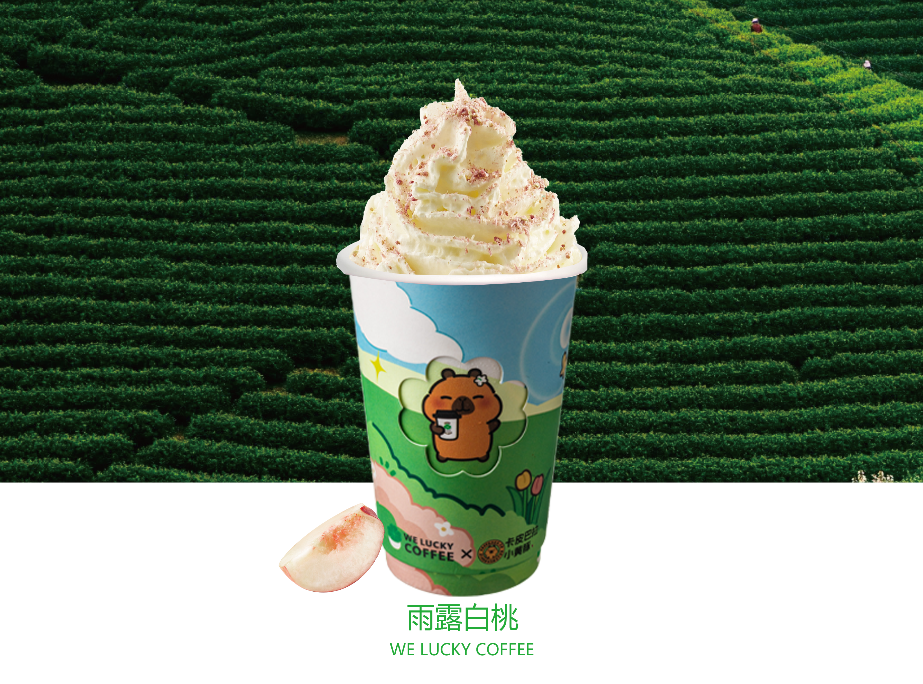 雨露白桃