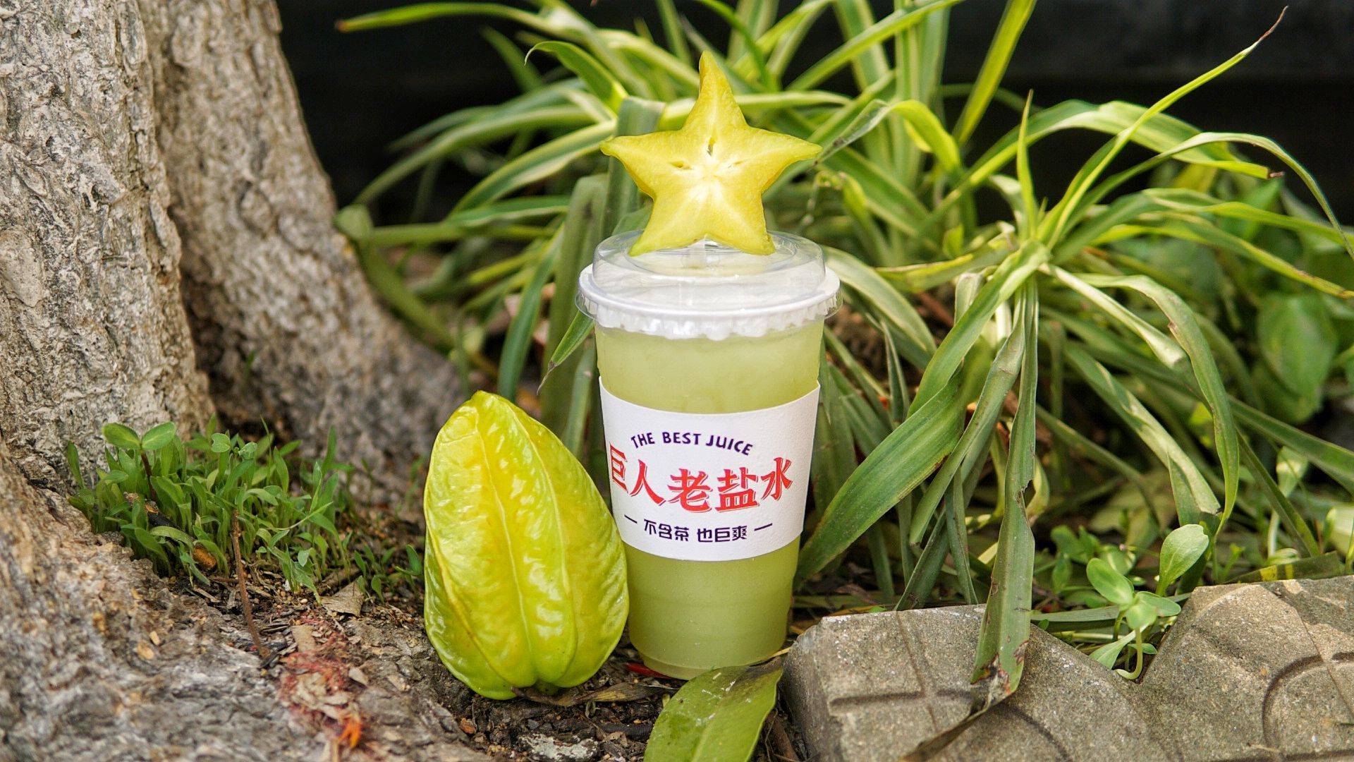 老盐清甘杨桃