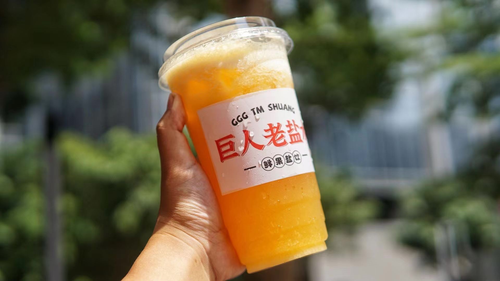 老盐柑橘