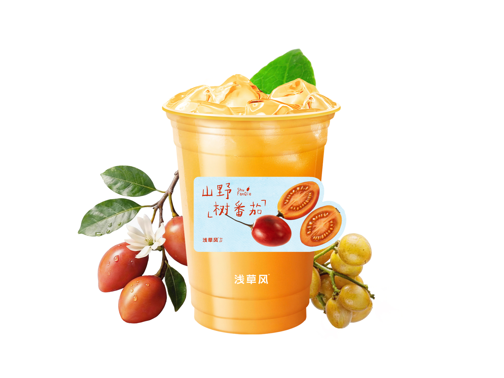 树番茄与黄皮
