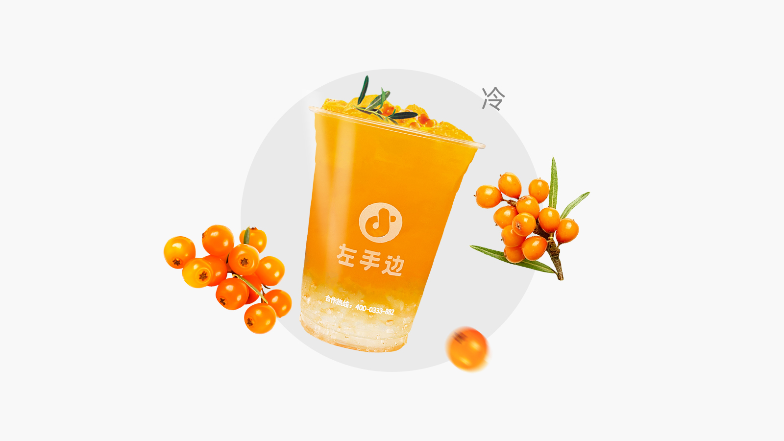 VC之王·沙棘