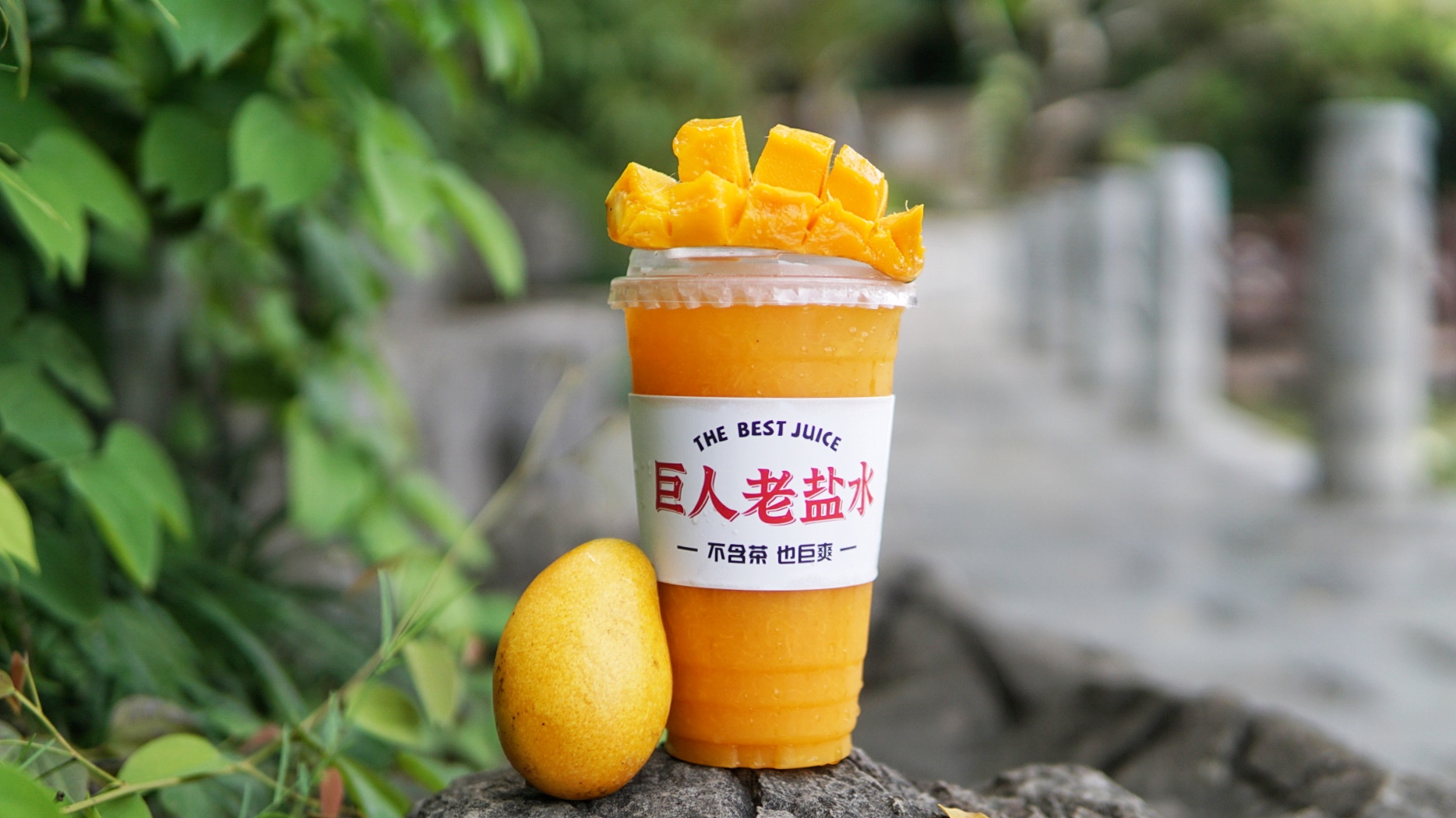 老盐芒果
