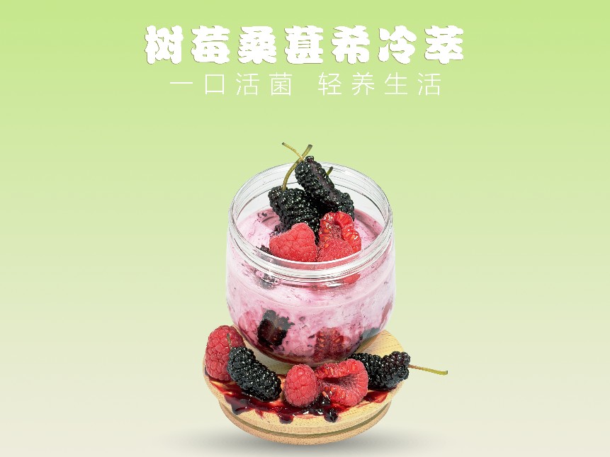 希腊冷萃酸奶杯（树莓桑葚）