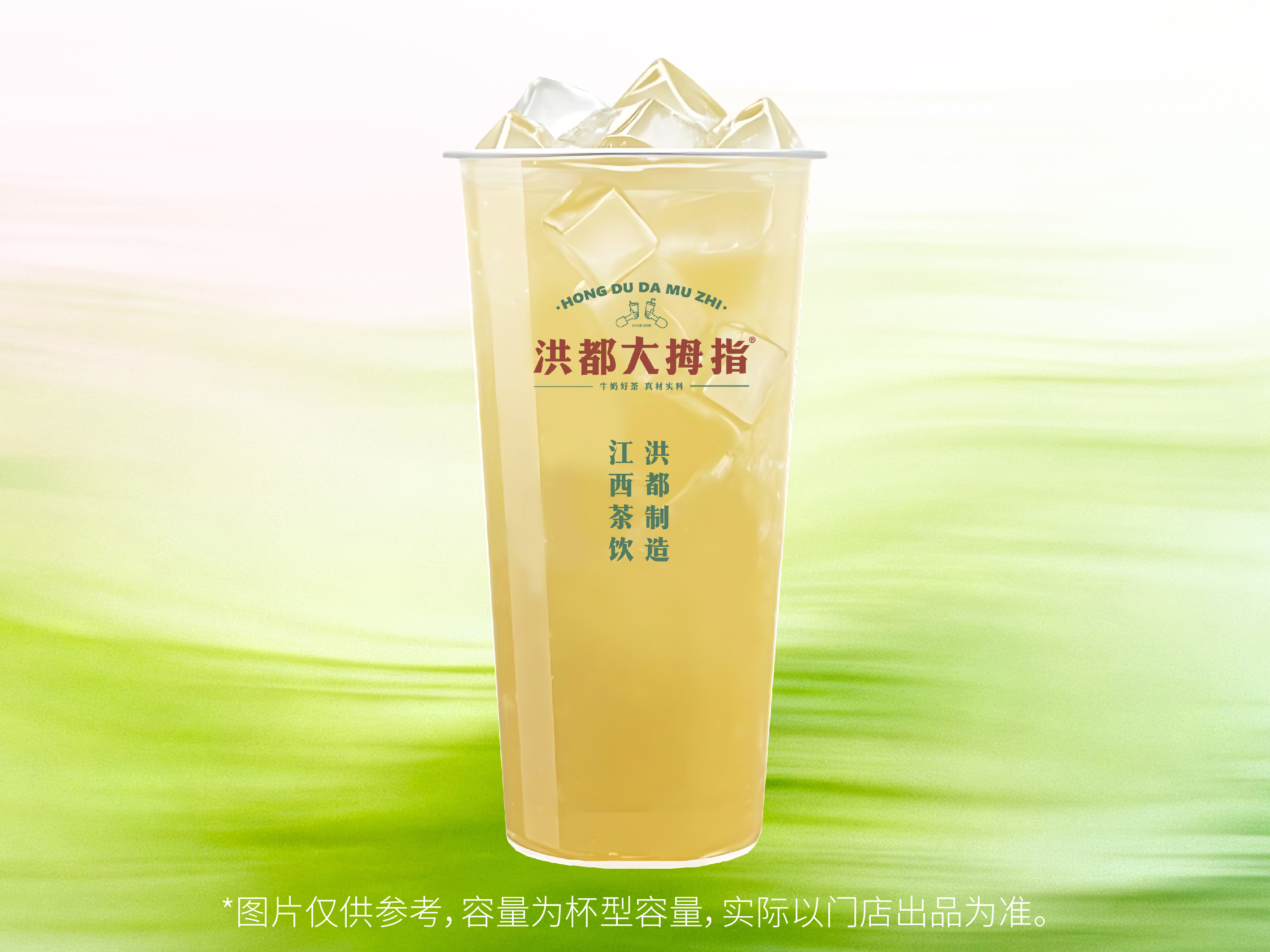 江西茉莉（大杯）