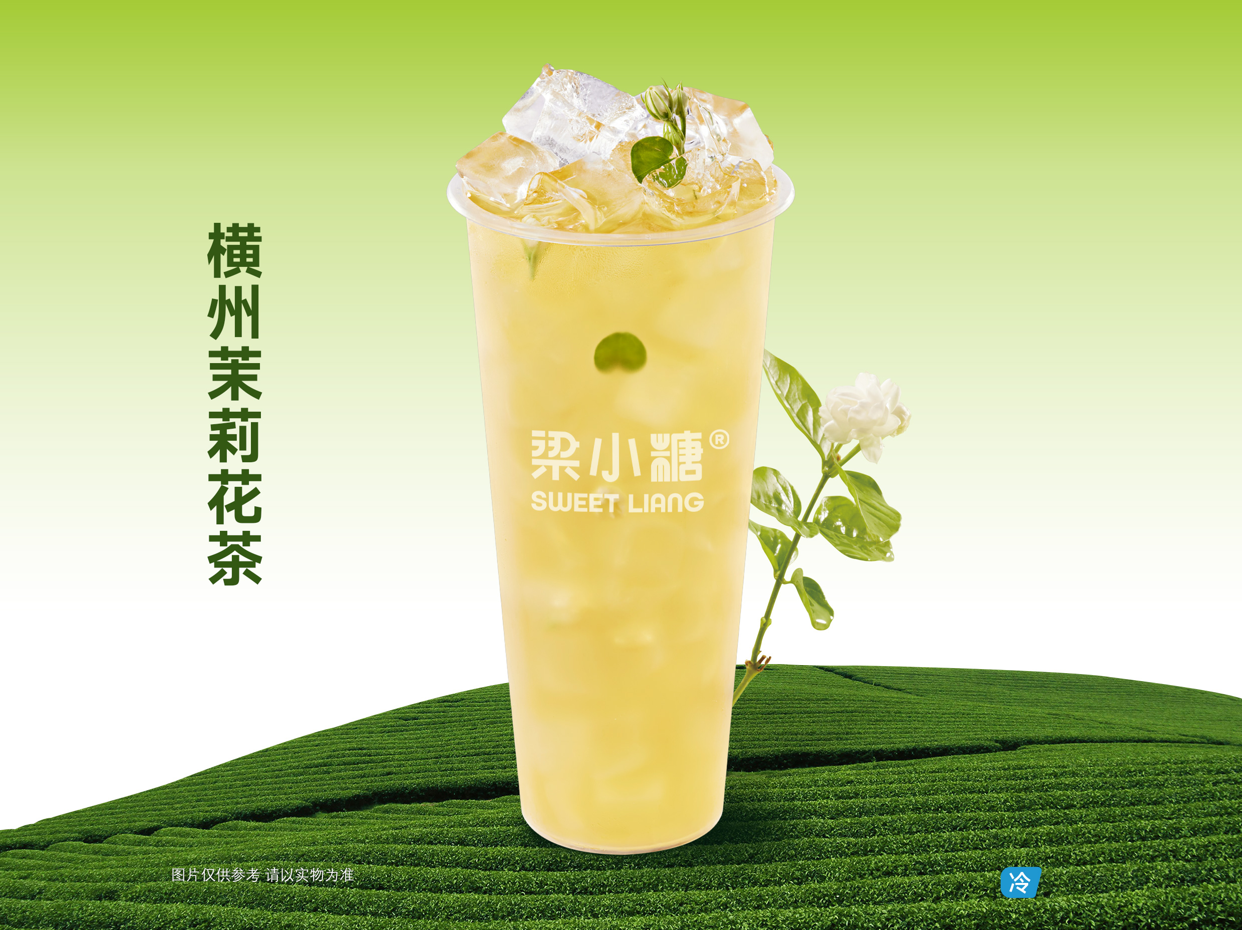 横州茉莉花茶