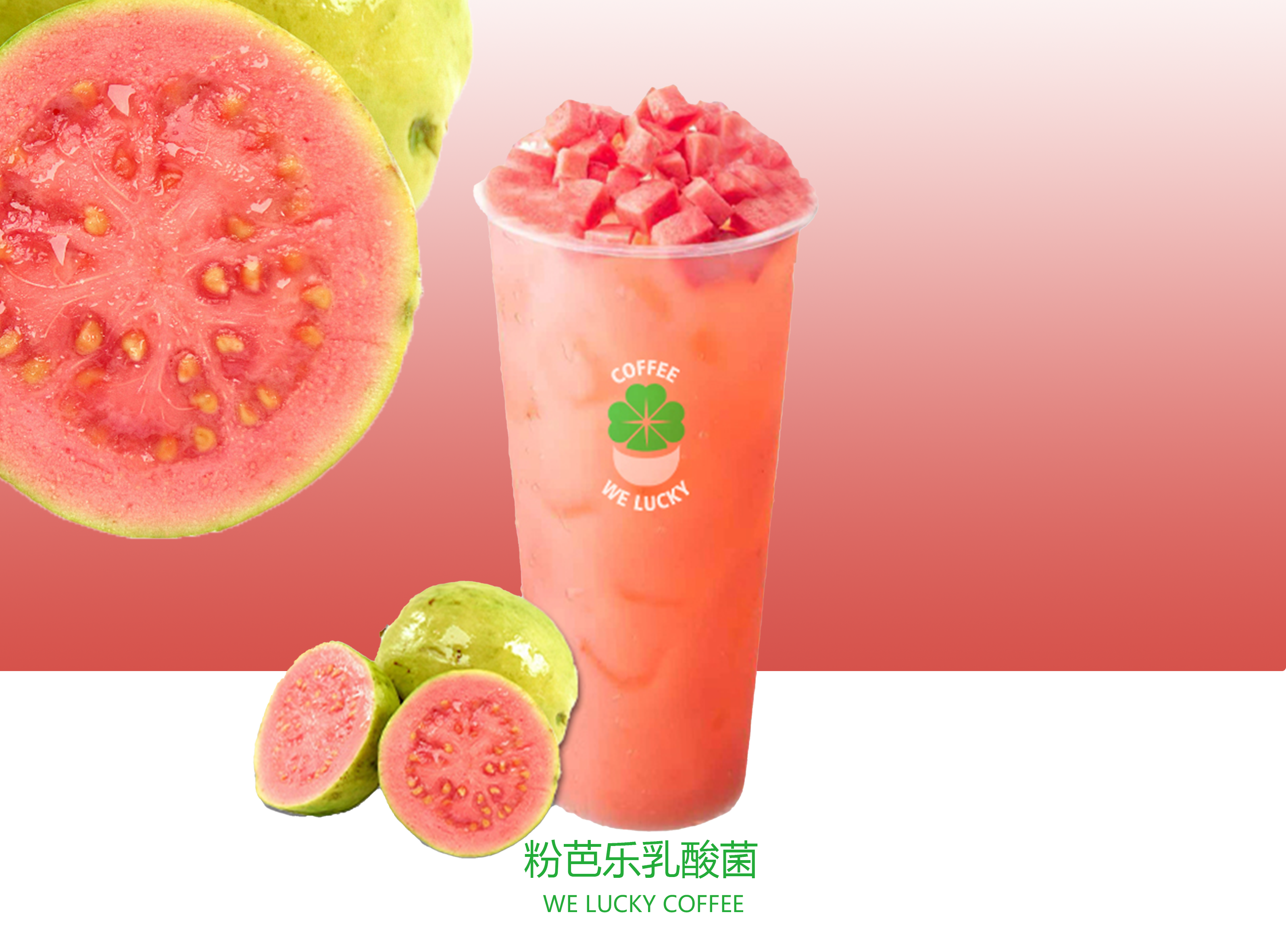 粉芭乐乳酸菌
