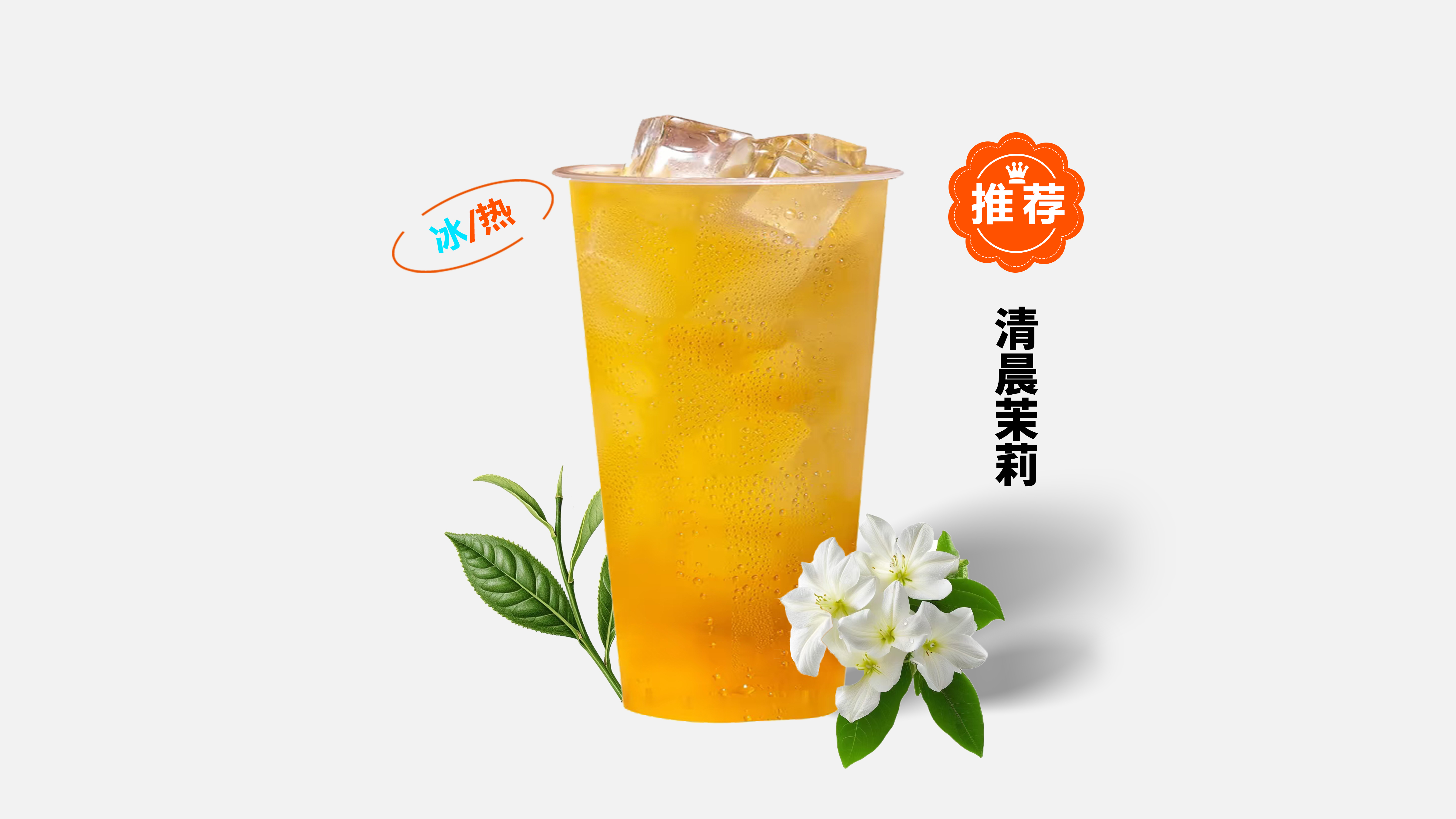 清晨茉莉