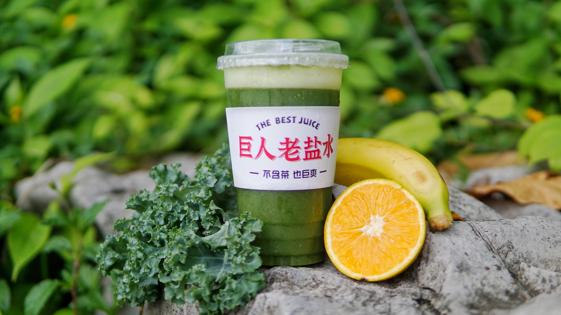 老盐羽衣甘蓝