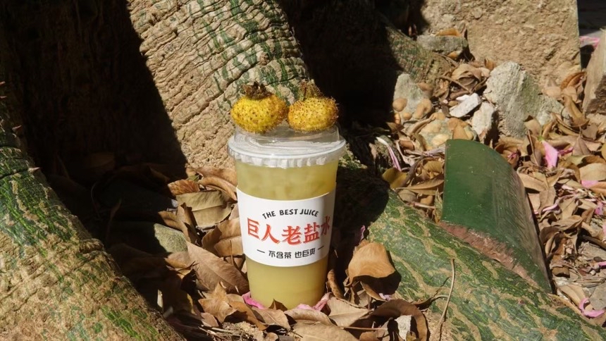 老盐刺梨刺梨