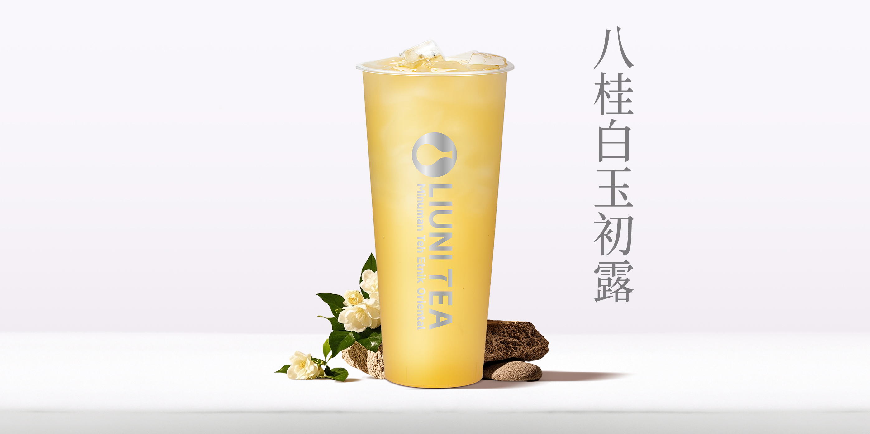 八桂白玉初露QW