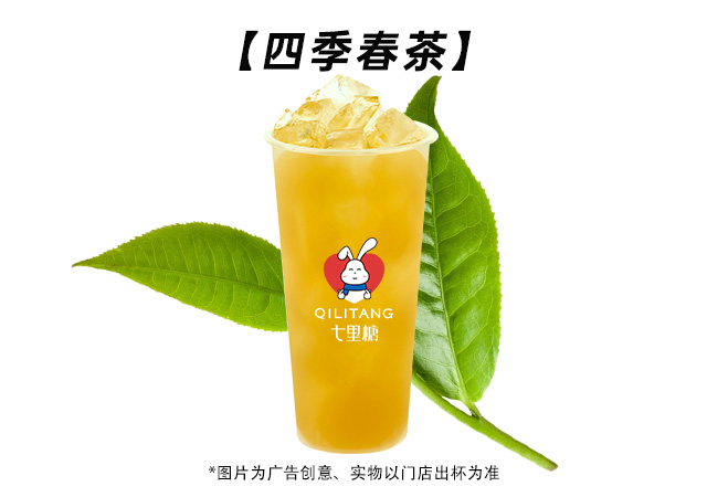 四季春茶