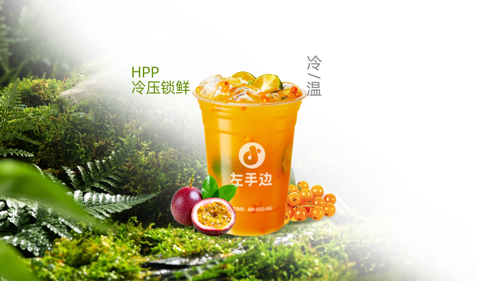 黄酮沙棘王