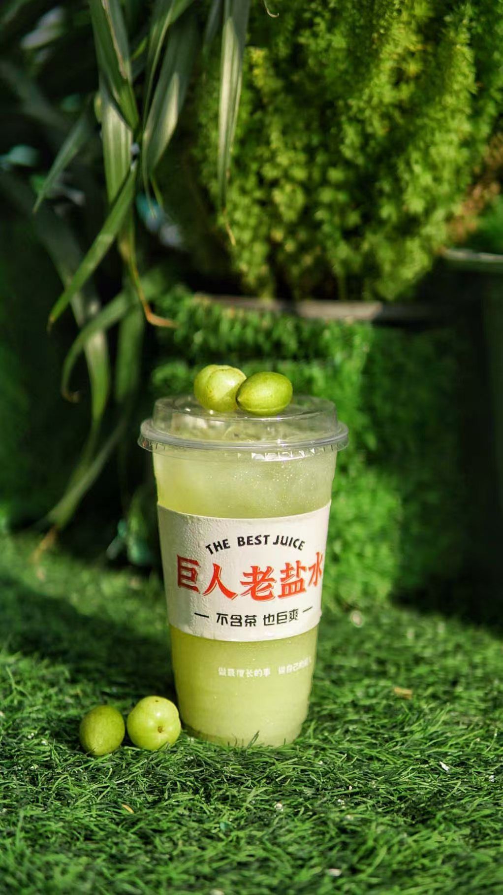 老盐油柑清榄