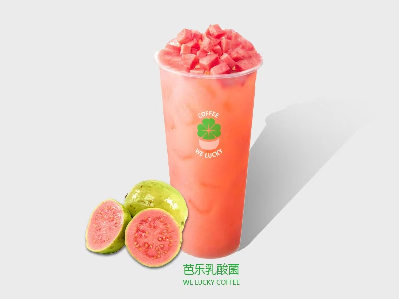 红芭乐乳酸菌