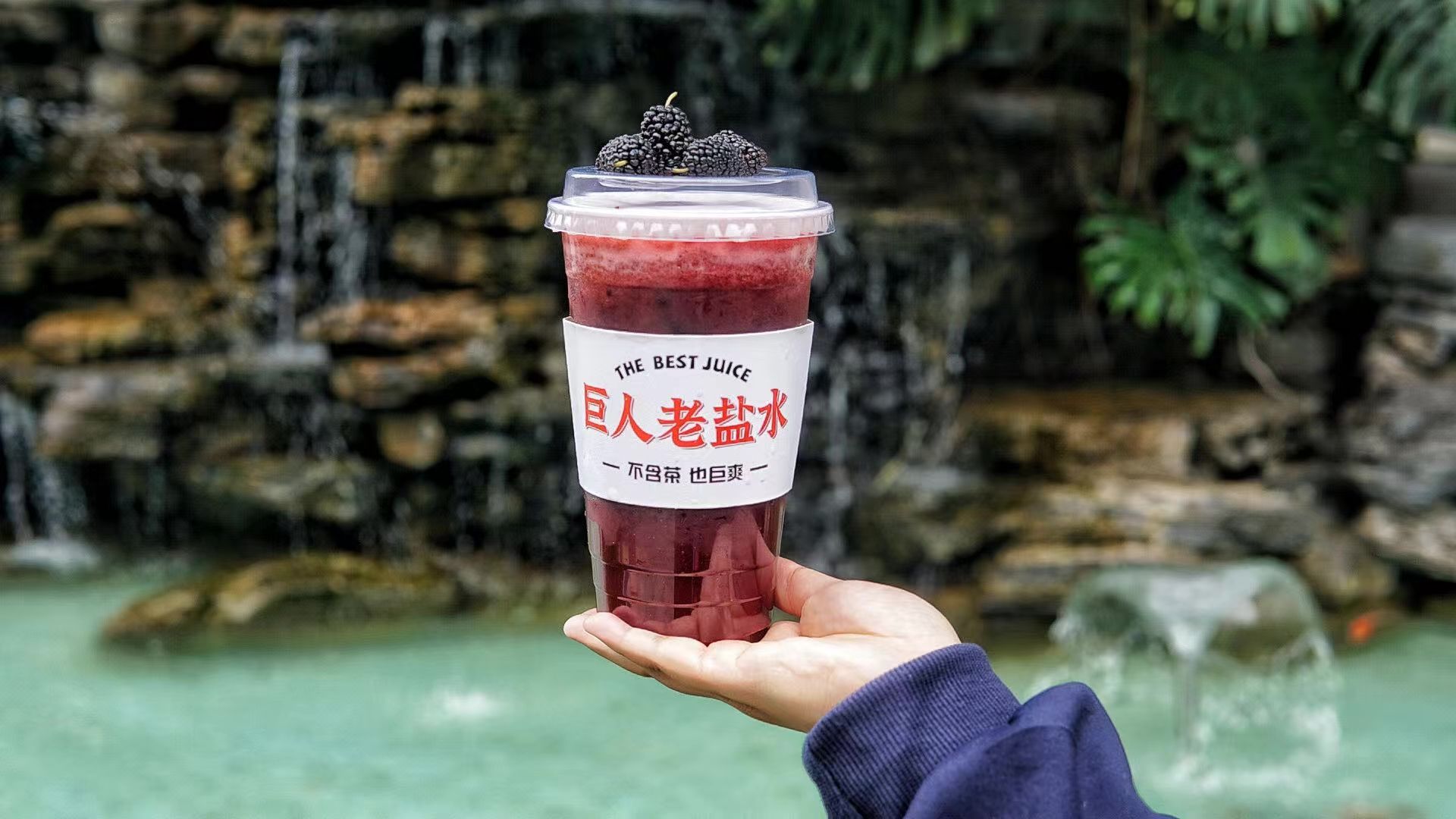 老盐山桑树莓