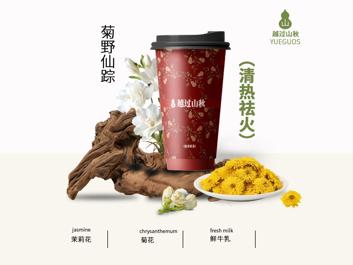 菊野仙踪(清热去火)