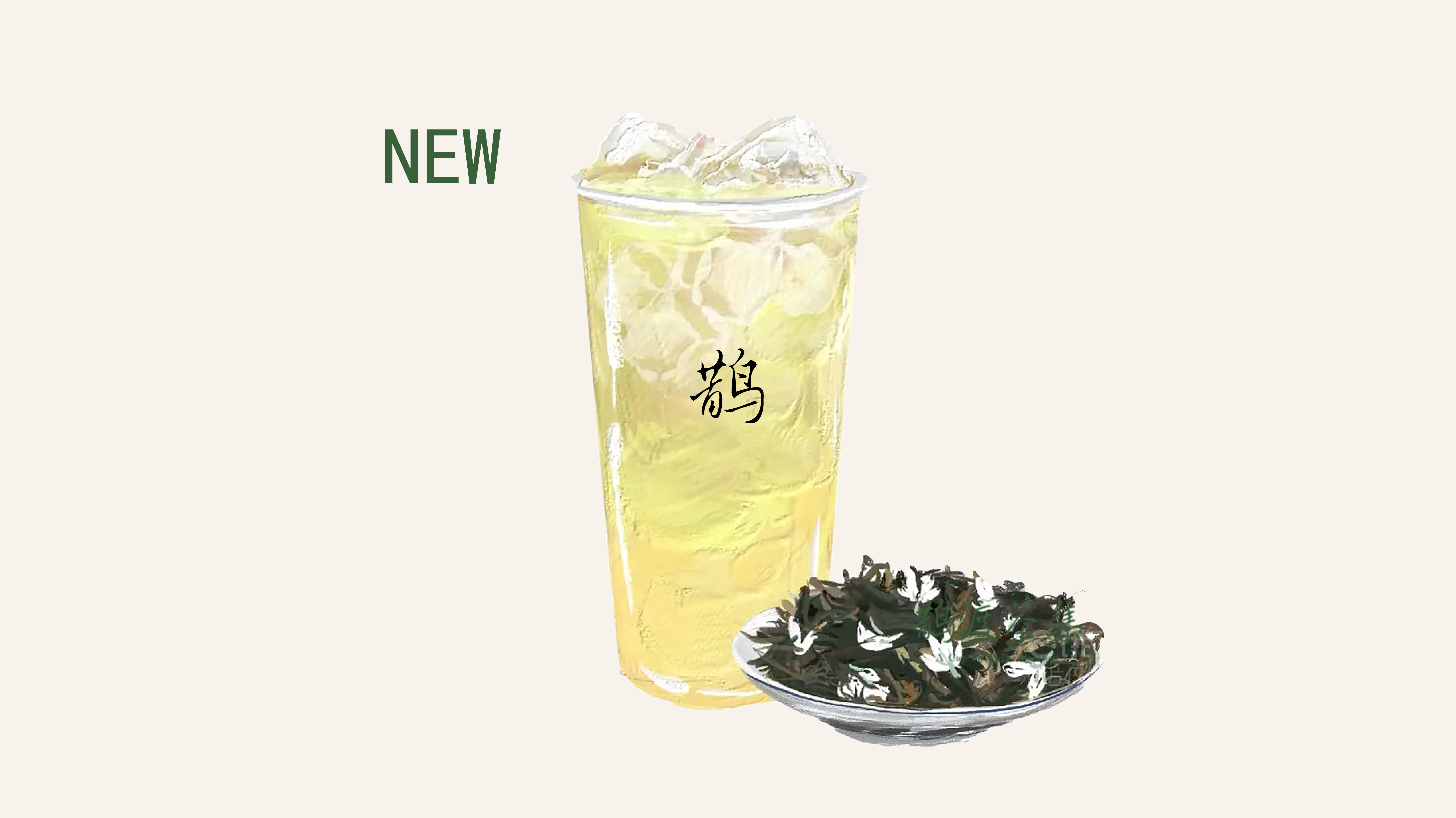 清冽的茉莉小白芽